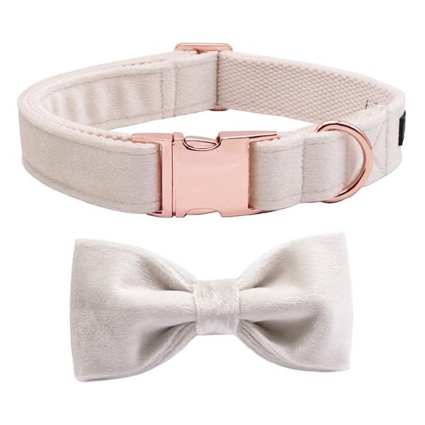 Collari Zampe stile unico Collare morbido in velluto bianco beige con papillon e guinzaglio regalo per cani e gatti