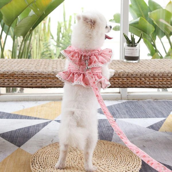 Collari per cani Summer Lace Chest Back With Traction No Pull Vest Strap Imbracatura traspirante riflettente regolabile per cani Cuccioli e gatti