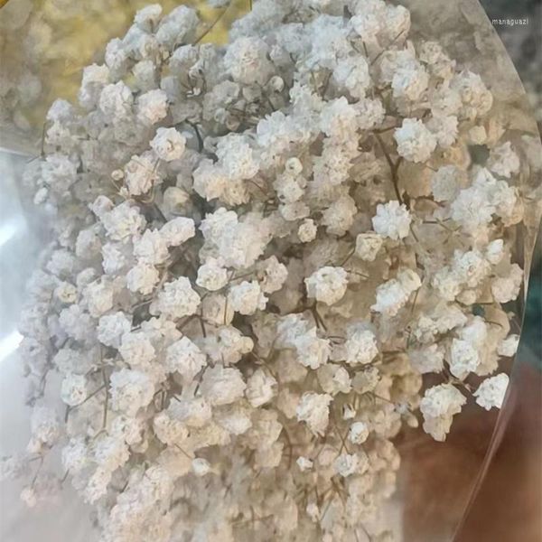 Dekorative Blumen 100gGypsophila Baby Breath Million Stars Natürliche pflanzenkonservierte getrocknete Heim-Hochzeits-Weihnachtsartikel mit kostenlosem Versand
