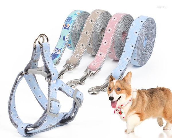 Collari per cani Imbracatura per animali domestici in nylon Senza guinzaglio regolabile Vest Cintura da corsa classica per piccoli e medi