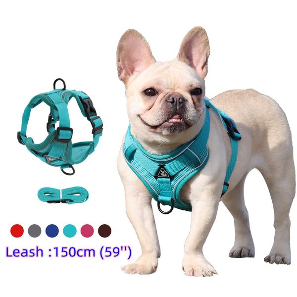 Geschirr und Leine Set Haustierzubehör Hundegeschirr für kleine Hunde Französische Bulldogge Mops Pitbull Welpe Brusthalsband Chiens Supplies