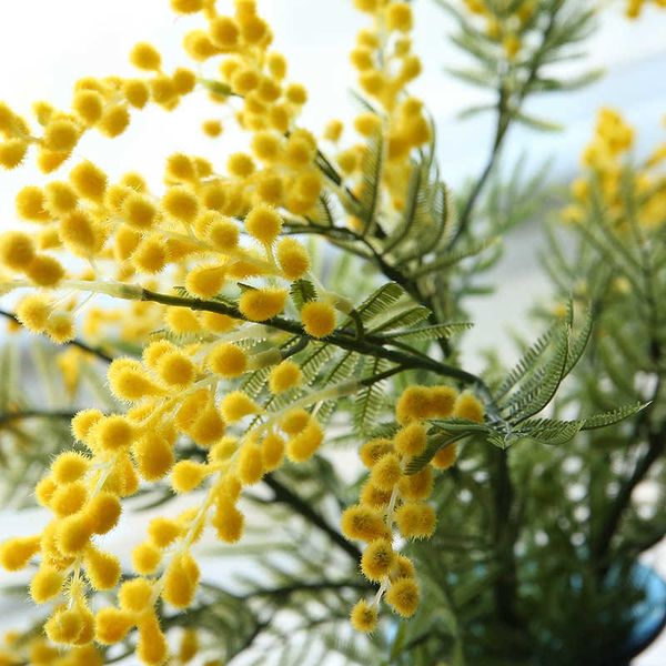 Fiori secchi Mimosa artificiale gialla Spray Ramo di frutta di ciliegia Decorazione per la casa di nozze Album di ghirlande di Natale