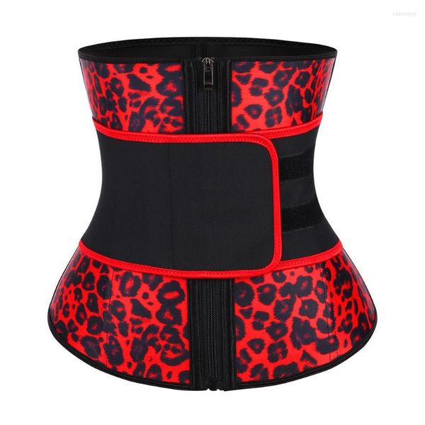 Modelador feminino WonderBeauty Latex Waist Trainer Zipper Shapewear Emagrecimento Plus Size Ampulheta Cinto Figura Fajas