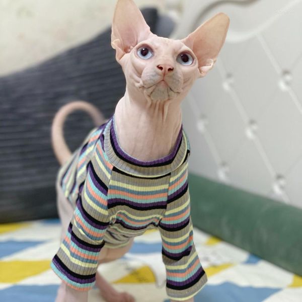 Costumi per gatti Sphynx Abbigliamento Cotone Traspirante Senza peli Per Abbigliamento Cornish Rex Devon Peterbald Knnis Abbey