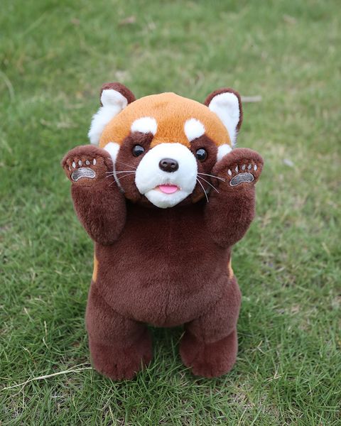 Peluş Bebekler 24cm Yüksek Gerçek Hayat Kırmızı Panda Peluş Oyuncak Yumuşak Lesser Panda Dolgulu Hayvan Oyuncakları Hediyeler Çocuklar İçin Yetişkinler 230614