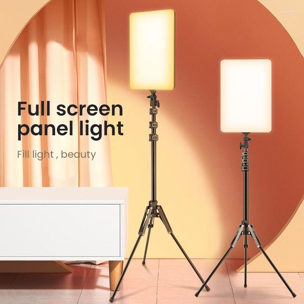 Cabeças de flash 19 LED Kit de luz de vídeo 100 W Studio Pography Lights Lâmpada da câmera Regulável Painel bicolor para jogos Transmissão ao vivo YouTube