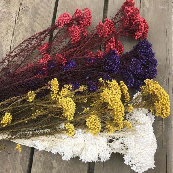 Dekorative Blumen, 50 g, natürliche Hirsefrüchte, getrocknete Blumen, hochwertige künstliche Braut-Hochzeitsstrauß, Mutter-Party-Geschenk, Pampas