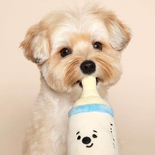 Novo 3pcs Brinquedo para Cachorro Ins Conjunto de Bebê Chupeta Garrafa Chocalho Brinquedo para Animais de Estimação Squeak Cachorro Brinquedo Interativo Brinquedos para Cachorros para Cães Pequenos Gato de Pelúcia