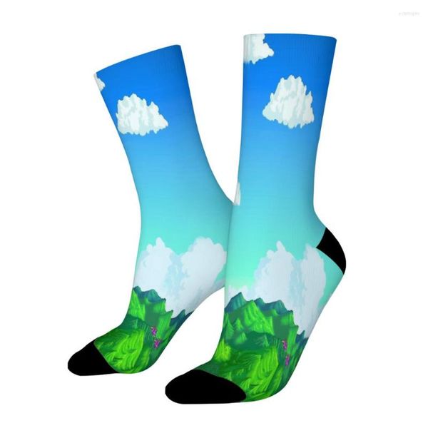 Мужские носки горы Stardwew Valley сельская бизнес -симуляция имитация по делам мужской мужчина -мужские женщины летние чулки полиэстер