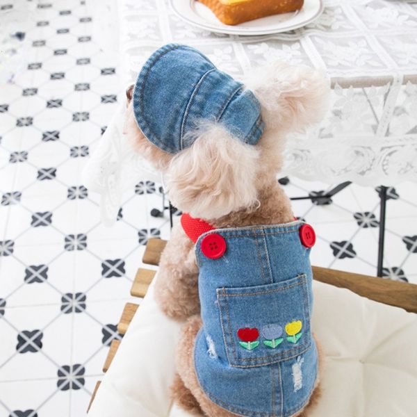 Abbigliamento per cani Autunno Inverno Gonna di jeans ricamata Peluche Vestiti per animali e vestiti per cani Cappotto con orsacchiotto Cappello Vestiti per cani Vestiti per cani 230614