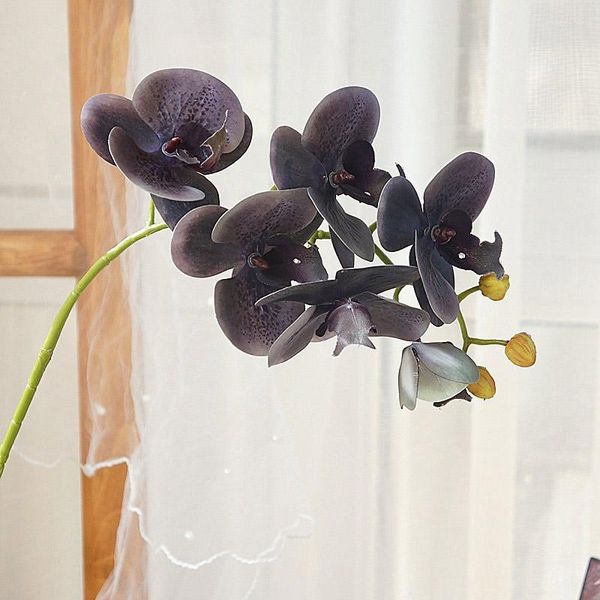 Fiori decorativi Nero Grigio Ramo di orchidea Decorazione del soggiorno Artificiale Tocco reale Decorazioni per la casa in plastica Regali per la mamma