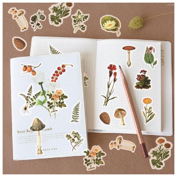 Confezione regalo 40pcs 20Design Sea Plant Animal Washi Paper Sticker Adesivo decorativo estetico Scrapbook fai da te Fornitore di cancelleria per bambini per bambini