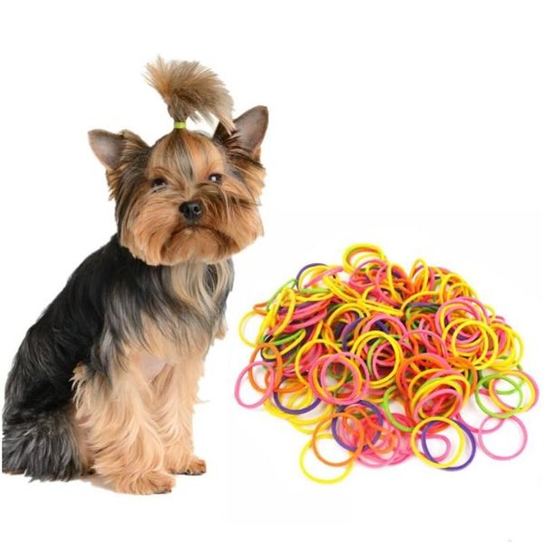 Vestuário para cães 170Cs/saco Elásticos de borracha de cores misturadas Meninas Pet Faça você mesmo Arcos de cabelo Higiene Acessórios de cabelo para pequenos suprimentos Drop Delivery Dhjgm