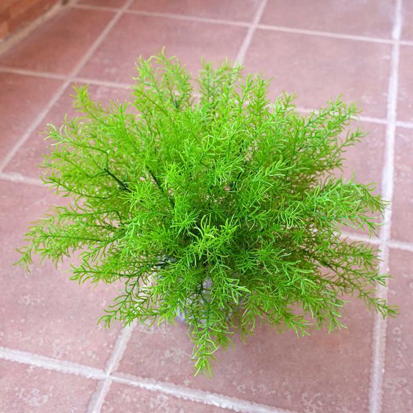 Fiori secchi Vendita calda plastica verde ricchezza erba asparagi pianta artificiale fiore Babysulf matrimonio Natale decorazioni per la casa