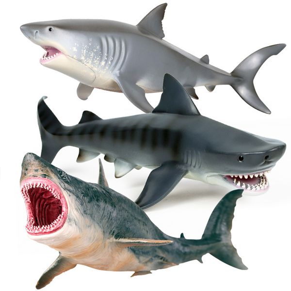 Figuras de brinquedo de ação Sea Life Model Great White Shark Helicoprion Megalodon Action Figure Aquarium Ocean Marine Animals PVC Education Kids Toy 230616