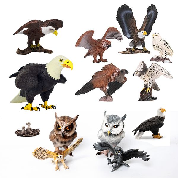 Figuras de brinquedo de ação realistas de plástico estatuetas de aves de rapina águia careca falcão falcão coruja abutre. modelos de animais conjunto educacional 230617