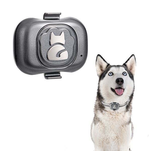 Altre forniture per cani Localizzatore GPS 4g per localizzatore di cani Dispositivo anti-smarrimento impermeabile Rilevatore di oggetti per smartphone Piccolo allarme Dispositivo antifurto per animali Collare 230617