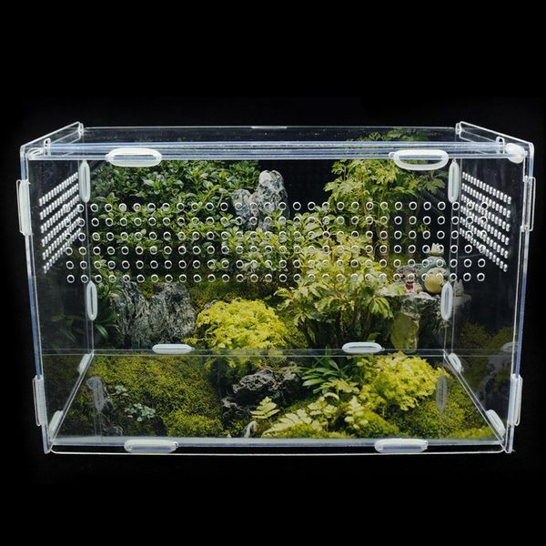 Terrarien Transparente Reptilien-Zuchtbox, Acryl-Futterbox, 360 Grad hohes transparentes magnetisches Haustier-Kletterterrarium