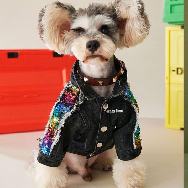 Giacche Vestiti per cani autunno nuova giacca di jeans con paillettes sottili Teddy Schnauzer Corgi bichon cappotto per abbigliamento per animali domestici per cani di piccola taglia