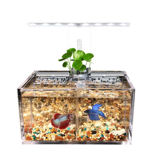 Акриловый аквариум, изоляционная коробка для бесплатного обмена воды со светодиодной настольной лампой, фильтр для водяного насоса, аквариум, офисное украшение для рабочего стола