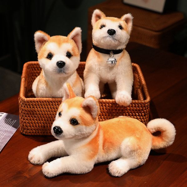 Animais de Pelúcia Recheados 2530cm Simulação Akita Dog Brinquedo de Pelúcia Recheado Lifelike Shiba Inu Dog Travesseiro Macio Bonecas Brinquedos Para Crianças Meninos Meninas Decoração de Presente 230617