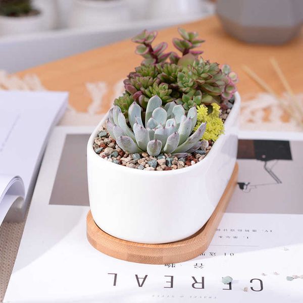 Conjunto de vasos de plantas minimalista branco cerâmica suculenta planta pote porcelana plantador decorativo desktop vaso decoração para casa (1 pote + bandeja)