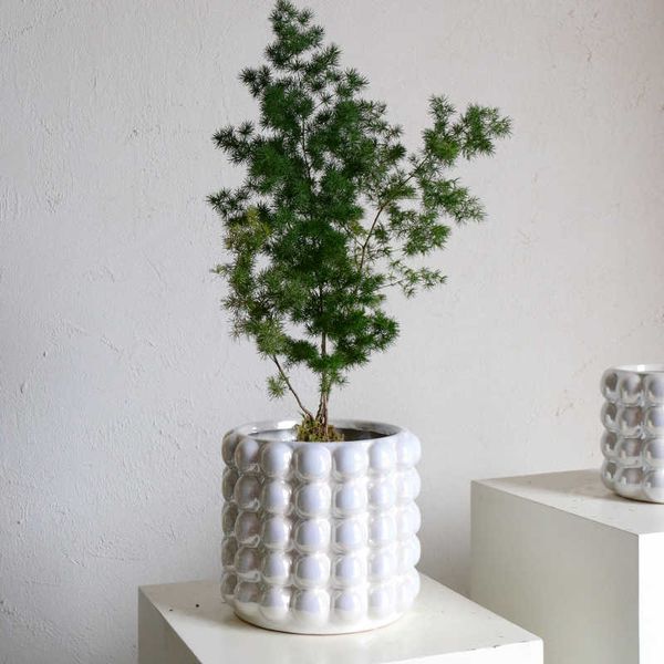 Plantadores potes ins estilo simples personalidade criativa vaso de flores cerâmica suculenta phalaenopsis net vaso planta vermelha