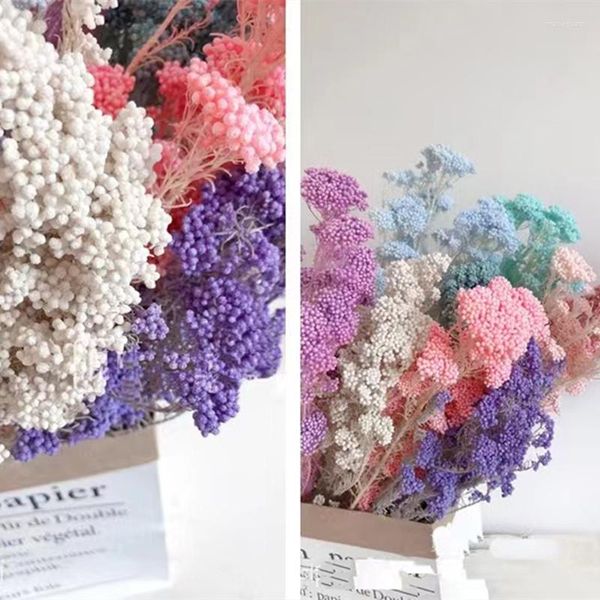 Fiori decorativi 50g di frutta di miglio naturale fiore essiccato all'ingrosso bouquet da sposa artificiale da sposa articoli per la casa di San Valentino