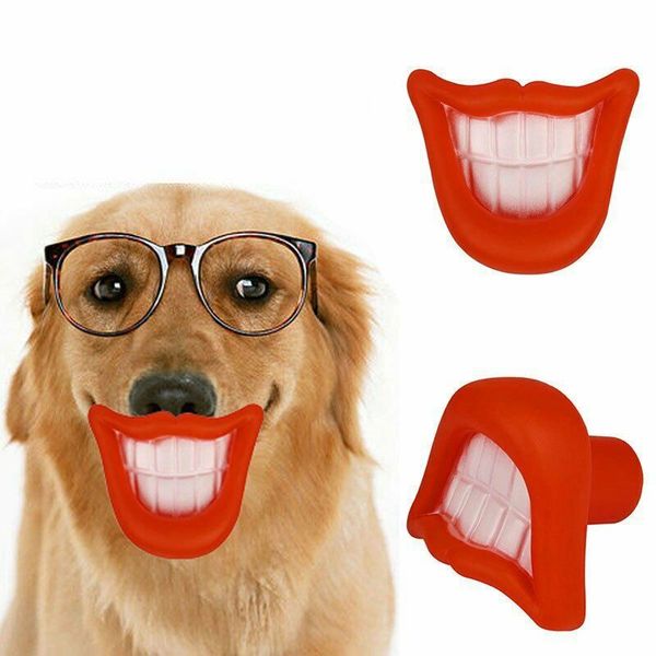 Ciuccio ciuccio divertente per labbra Succhietto Cane Bulldog Pug Giocattoli da masticare per animali domestici Suono stridulo