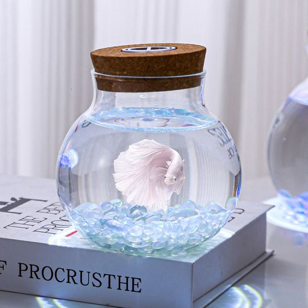 Acquari Bocce per pesci Illuminato Piccolo acquario per pesci rossi Vetro Betta Splendens Creativo Micro Paesaggio Guarigione Bottiglia Ufficio Ecologico 230620