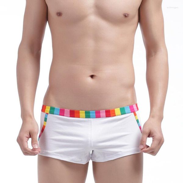 Cuecas boxers sensuais para homens gays roupas íntimas arco-íris masculinas shorts de material de algodão