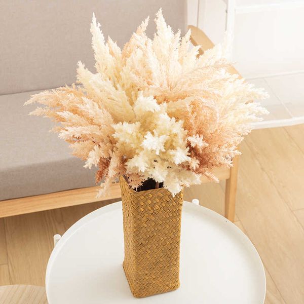 Getrocknete Blumen künstliche falsche Pflanzen Neu schöner langer Zweig Rime Edelweiss Winter Fotografie Supplies Home Wohnzimmer Dekorationen