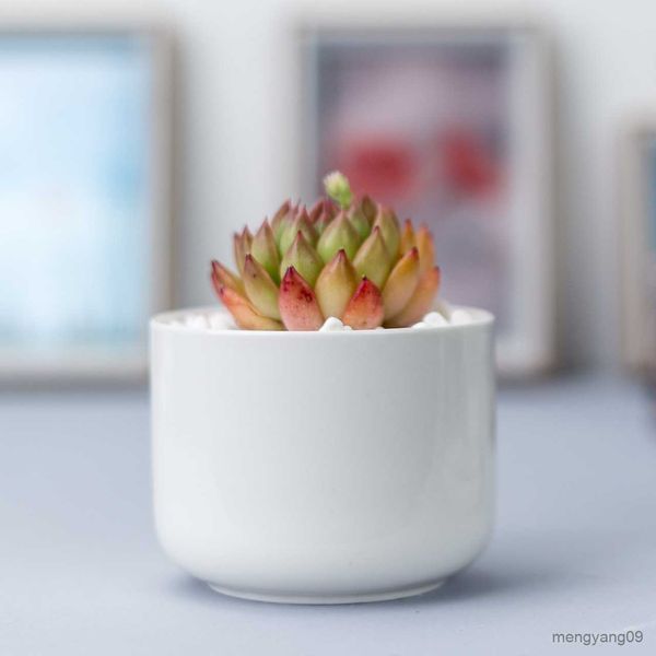 Fioriere Vasi Semplice vaso da fiori bianco Creatività Giardinaggio Tavolo in porcellana con piedi rotondi Corpo dritto Vaso da fiori in vaso Decorazioni per interni R230621