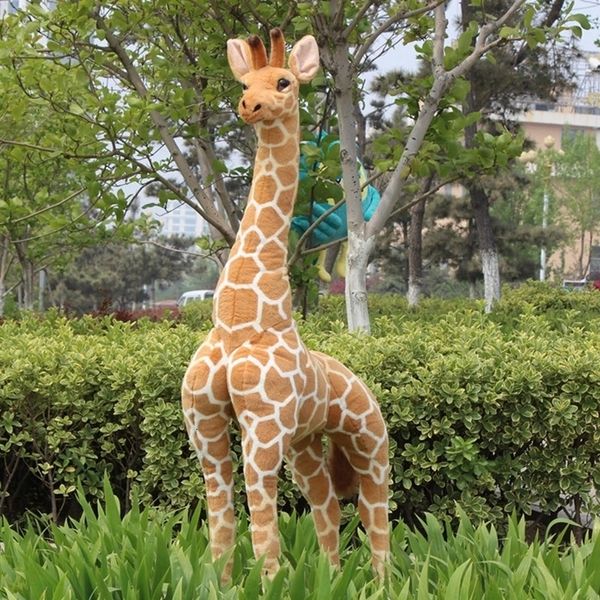 Bonecas de Pelúcia Enormes Vida Real Girafa Brinquedos de Pelúcia Bonito Recheado Simulação Boneca Animal Macio Alta Qualidade Crianças Bebê Presente de Aniversário Decoração de Quarto 230621