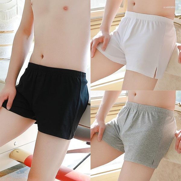 Cuecas masculinas de algodão soltas cuecas boxer 2 peças boxers confortáveis boxers masculinos macios calças domésticas pijamas roupa de dormir lingerie