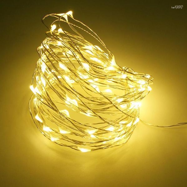 Strings FS-LED String Lights USB Powered Nights Light Warm White Copper Silver Wire For Trees Wedding Party Jar Bedroom