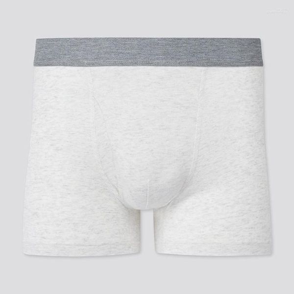 Mutande ICOOL Sexy Uomo SUPIMA COTTON Bianco Nero Grigio Tinta unita Intimo Boxer Pantaloncini Vita media Gay