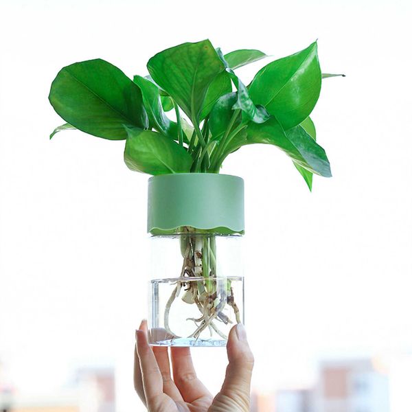Pişiriciler Şeffaf Saksuk Su Dikim Bitki Tenceresi Konteyner Plastik Hidroponik Flowerpot Masa Tabakları Bonsai Ev Dekorasyonu