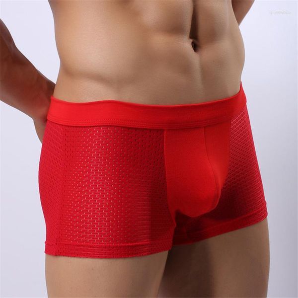 Cuecas 2023 Moda Cueca Masculina Confortável Boxer Shorts Macio Modal Boxers Homens Calções Respiráveis Gay Sexy Calcinhas