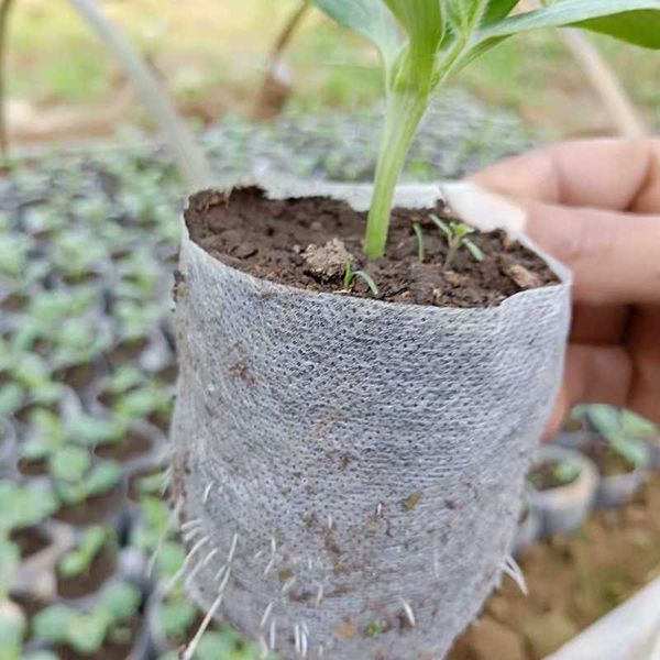 Vasi per fioriere Borsa per piantine da giardino Fioriera per piante Vasi da fiori Borse per coltivazione in tessuto non tessuto Accessori per giardinaggio in serra