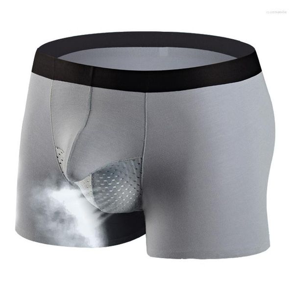 Unterhosen Herren Boxer Unterwäsche Sexy U Convex Big Penis Tasche Modal Nahtlose Männer Boxershorts Atmungsaktive Mesh Hodensack Tasche Männlich