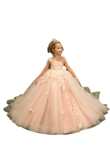 Princess Blush Pink Lace Flower Girl Abiti Fiori floreali 3D Sweep Train Jewel Neck Illusion Gilrs Pageant Dress Little Kids Abito da prima comunione