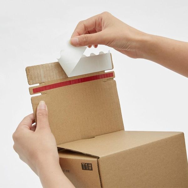 Mailers hysen 10 Pack -Geschenkverpackungskästen mit Reißverschluss für geschäftliche Versandkästen für Kosmetik -Wellblech -Mailer -Boxen