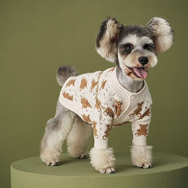 Camiscedores de inverno Roupos de cão de animal de estimação Christmas cães fofos suéter quente algodão para cães médios pequenos JACETDS JACETD CAATS CHIHUAHUA ROPA PERRO