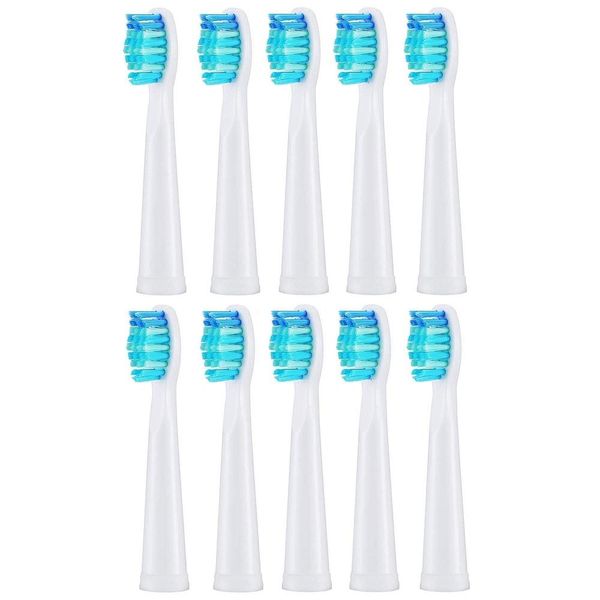 Shaves 10 PCs/Definir cabeças de escova de escova de dentes elétricas para Seago SG910/507/958/515/949/575/551 para limpeza e clareamento de dentes e clareamento