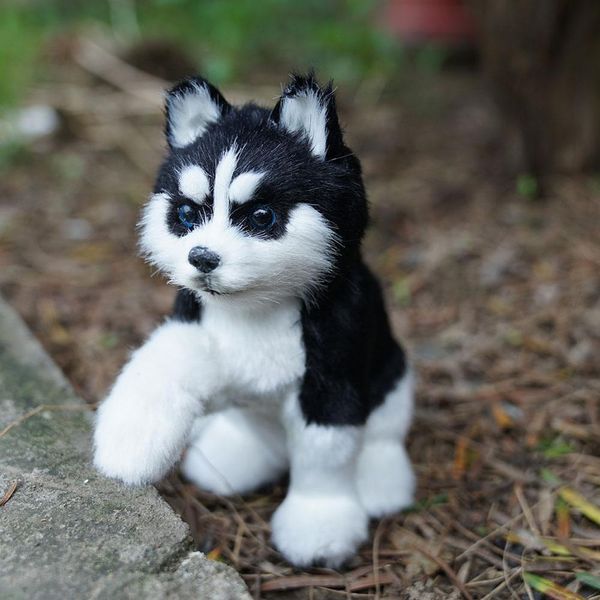 Bonecas de pelúcia realista simulação de cão Husky cão de brinquedo filhote de cachorro de pelúcia realista companheiro de brinquedo cão de estimação feito à mão presente de Natal 230626