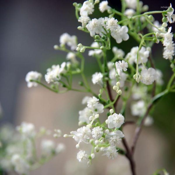 Fiori decorativi Simulazione Fiore di pietra Ramo finto per la decorazione dell'ornamento della disposizione del soggiorno di casa fai da te