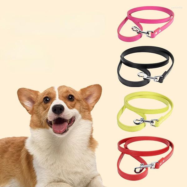 Colliers pour chiens Laisses de chat en cuir Chiot coloré Harnais de marche Collier Corde de plomb pour petits chiens de taille moyenne Fournitures pour animaux de compagnie 1.2M