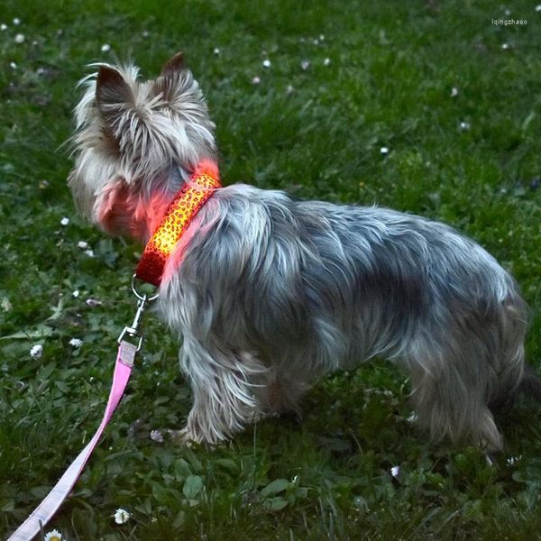 Hundehalsbänder, LED-Halsband, verstellbar, leuchtend, USB, Katze, 3 Modi, Licht, leuchtend, Anti-Verlust, Nacht, Welpen, Haustier, Gehgerät