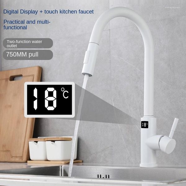 Rubinetti della cucina Rubinetto estraibile Nichel spazzolato Sensore Acciaio inossidabile Nero Smart Induction Rubinetto misto Touch Control Display digitale